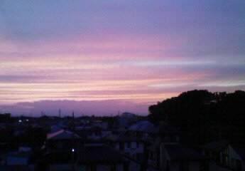 コピー ～ NEC_0019.JPG